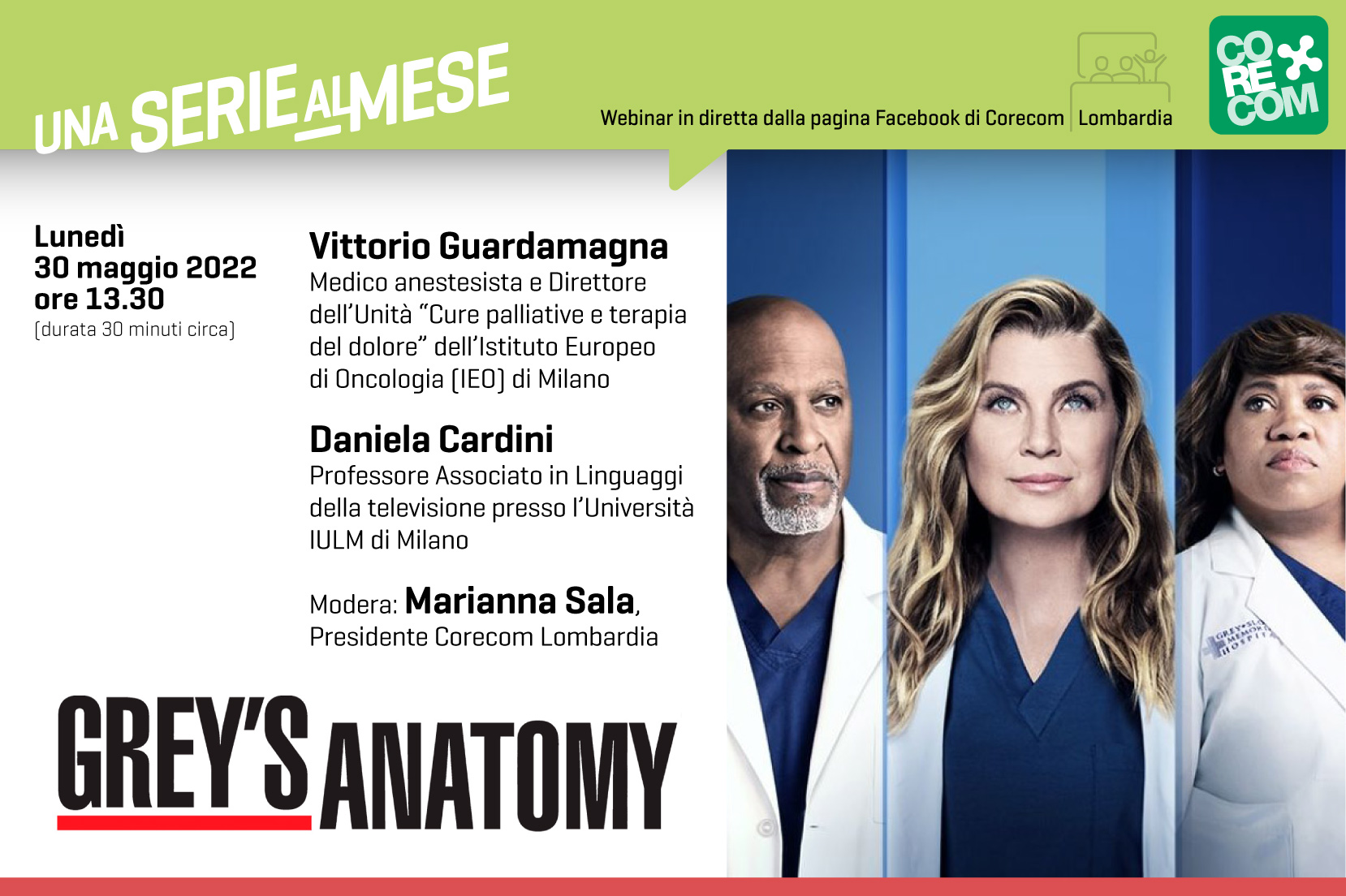GRAFICA GREY'S ANATOMY