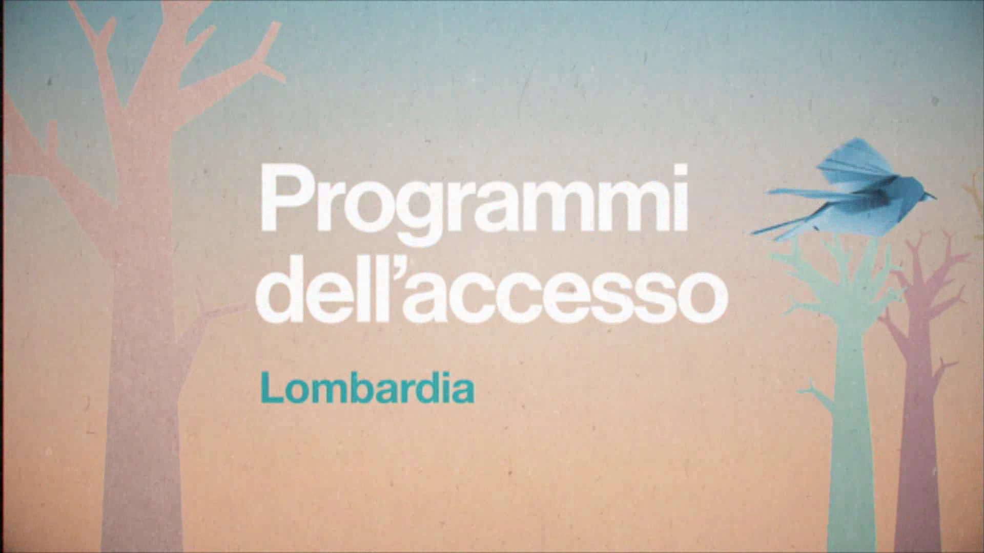 Logo Programmi dell'accesso