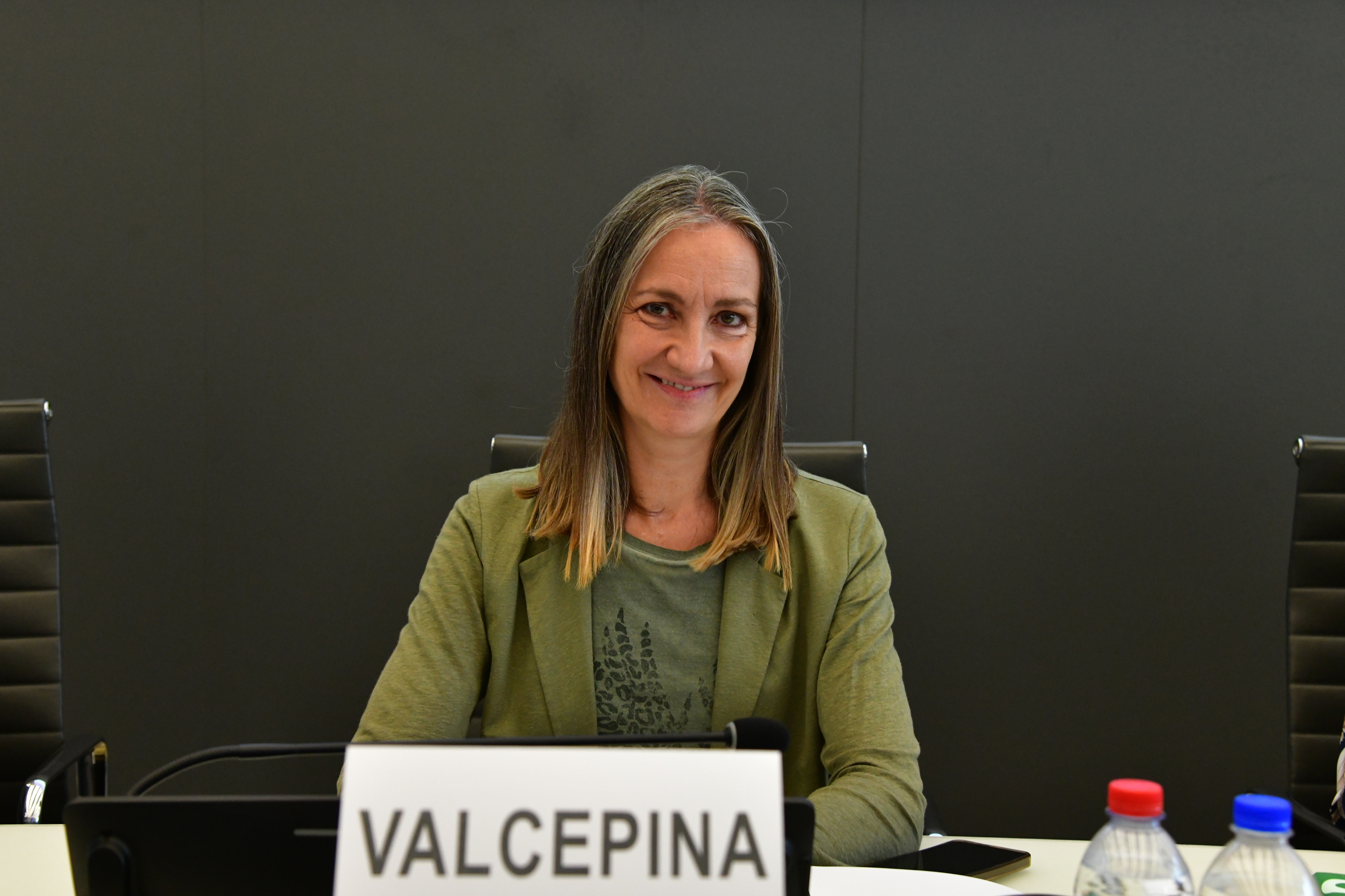 Consigliere Valcepina
